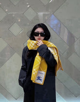 China Replica Burberry Scarf 46usd Only